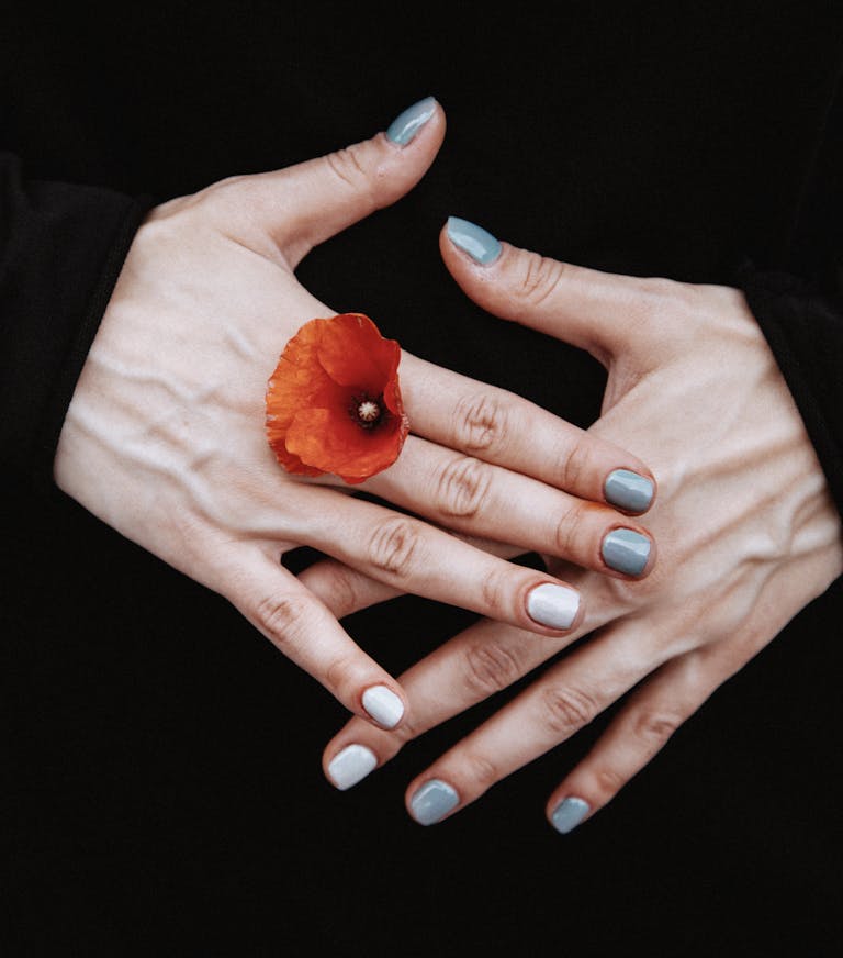Close-up of hands with manicured nails holding a vivid red poppy flower.